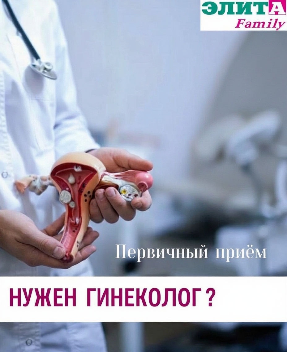 Что входит в первичную консультацию врача акушера-гинеколога?